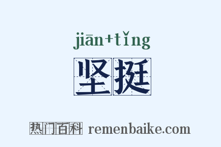 坚挺是什么意思的图片